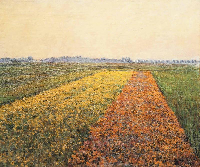 Gustave Caillebotte The Yellow Fields at Gennevilliers oil painting picture